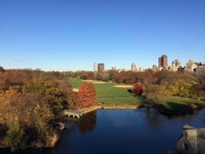 The View from Belvedere Castle